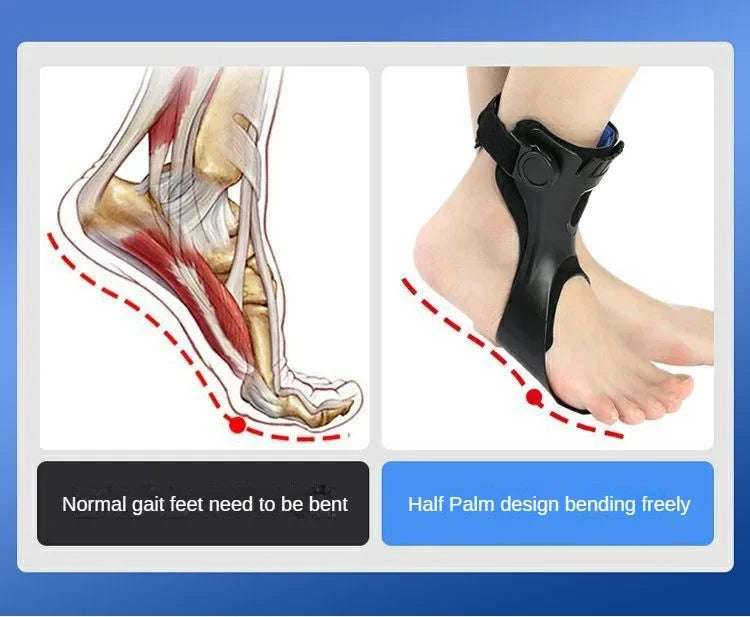 Drop Foot Brace Orthosis Drop Foot Ankle Support with Comfortable Adjustable Buckle for Hemiplegia Stroke Shoes Walking