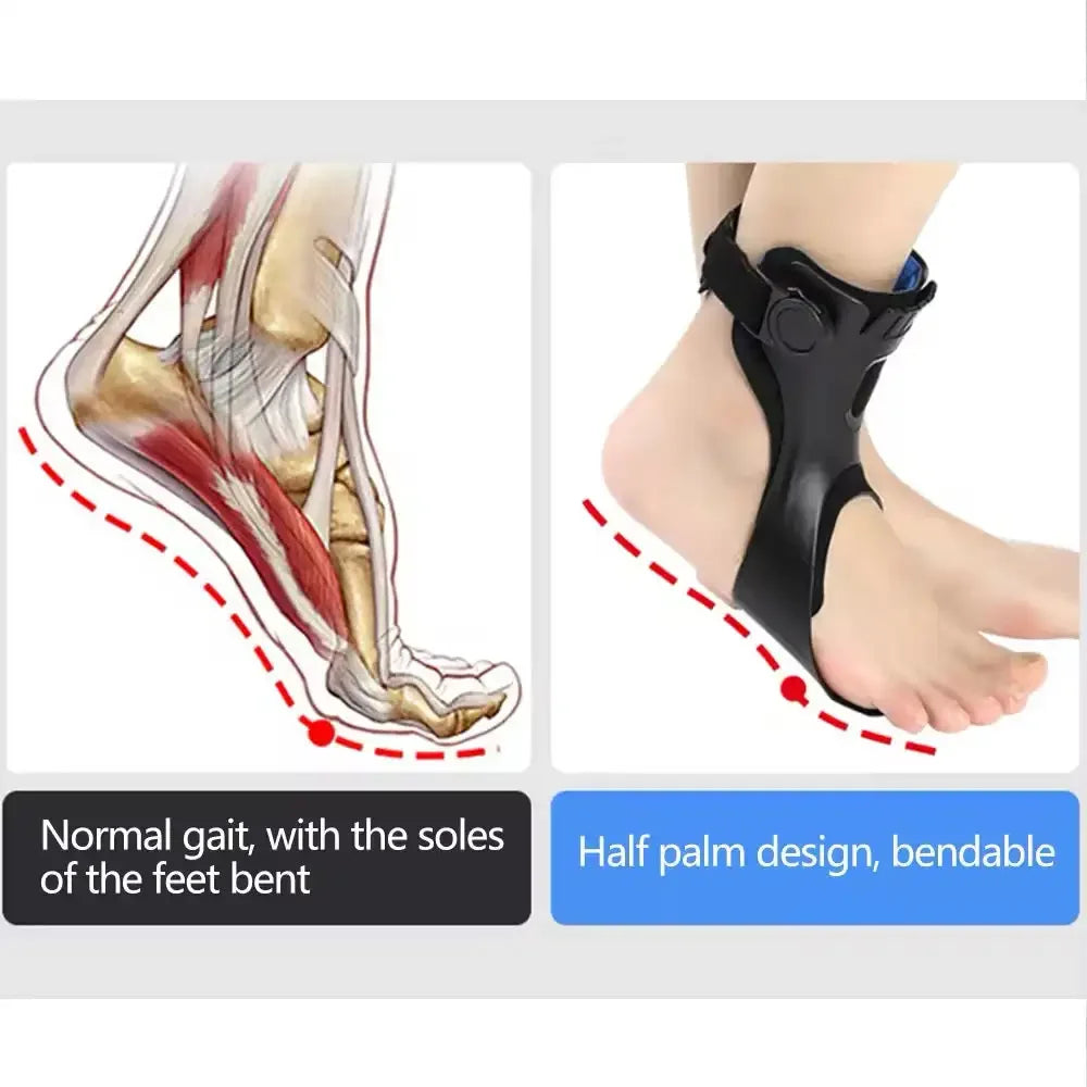 Drop Foot Orthosis Brace with Adjustable Ankle Support